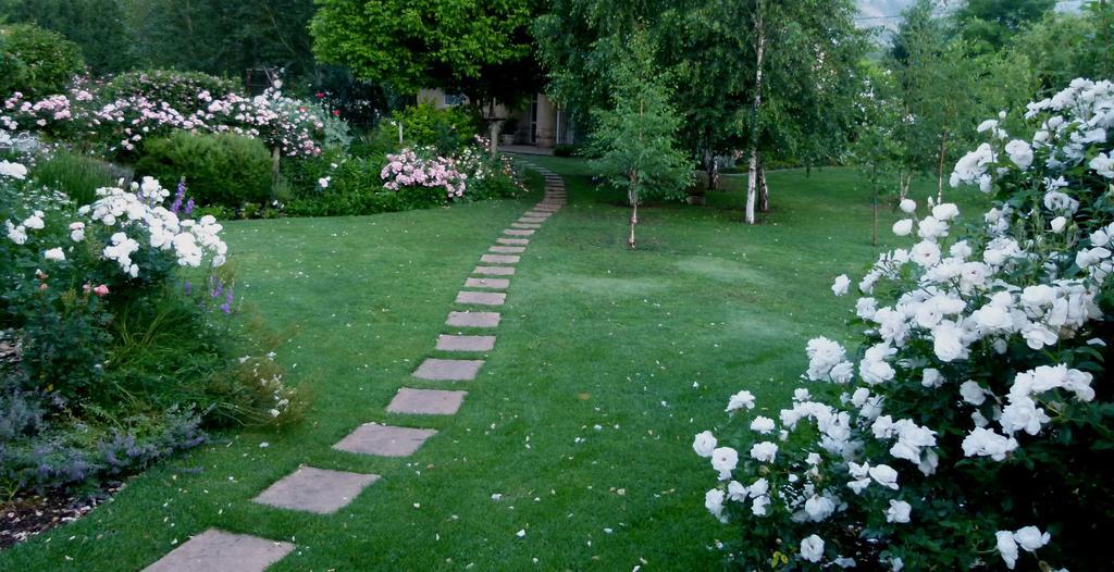 Millpond House Hotel Clarens Exterior photo